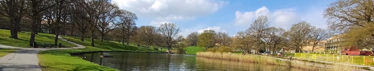 Meauw  játszadozásai a betűkkel